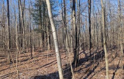 East Road, Montrose, MI 48457