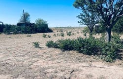 605 Impala, Logan, NM 88426