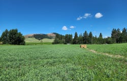 NKA Desmet Rd, Desmet, ID 83824