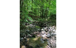 Dingman Hill Road, Bainbridge, NY 13733