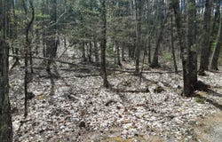 Libby Road, Jefferson, ME 04348