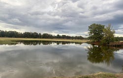1310 Jones Loop lot: 1310, Terry, MS 39170