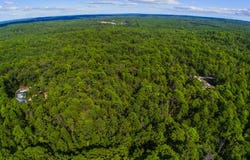 Sassafras lot: 196, Brookeland, TX 75931
