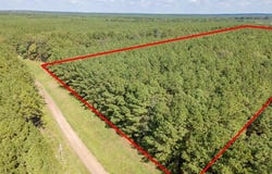 Parcel #28382 County Road 403, San Augustine, TX 75972