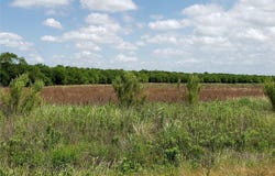 6015 Fm-1327, Buda, TX 78610