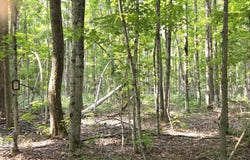 2139 Myrtle Lane, Vanderbilt, MI 49795