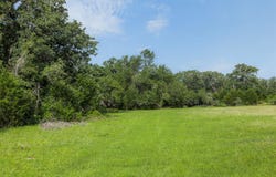 County Road 459, Thorndale, TX 76577