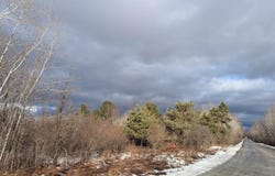 Lehman Road, Twining, MI 48766