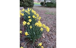27202 SEASIDE RD, CAPE CHARLES, VA 23312
