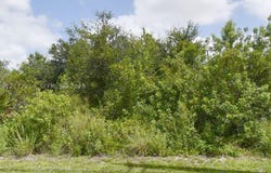 315/317 Becker Rd, Port St Lucie, FL 34953