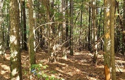 Sunset lot: 539, Spencer, TN 38585