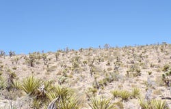 319-06-002B 20th street, Dolan Springs, AZ 86441