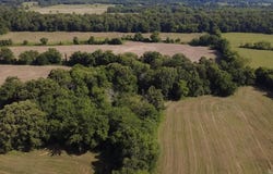 Corner Hwy 250 Wildforest Rd, Waldron, AR 72958