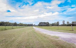 5124 Highway 76, Nichols, SC 29581