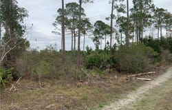153rd Terrace, Cedar Key, FL 32625