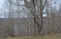 Fox Hill Road lot: 4&5, Baxter, TN 38544
