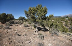 Green Valley Estates lot: 4, Beaver, UT 84713