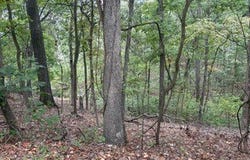 Muirfield Drive lot: 709, Porto Cima, MO 65079