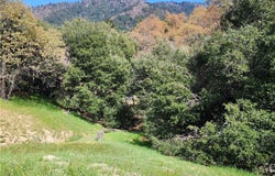 327 Davos Drive, Crestline, CA 92325