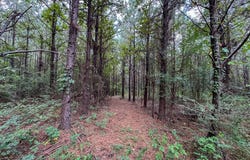 T-1 Provencal Vowell Mills Rd, Provencal, LA 71468