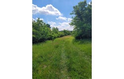 W State Road 18, Delphi, IN 46923