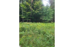 M-55, Whittemore, MI 48770