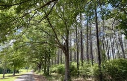 Old State Line Road, Tylertown, MS 39667