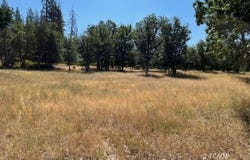 200 Creek Crossing Rd, Hayfork, CA 96041