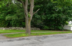 63 Adams St, Danvers, MA 01923