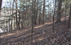 1265 Lake Road, London, KY 40741