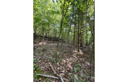 500 Finley Road, Burkesville, KY 42717