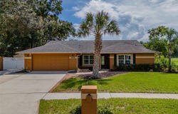 1409 HOLLEMAN, VALRICO, FL 33596