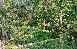 Welcome Home Road, Hector, AR 72843