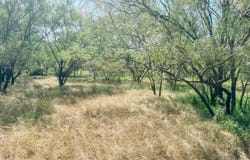 Morris Sheppard Drive lot: 11, Brownwood, TX 76801