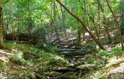 Hwy 215 N, Blair, SC 29015