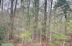 Tract 1 Highway 96 N, Jasper, TX 75951