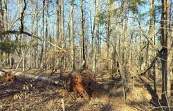 343 Beech Drive, Westminster, SC 29693