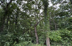 Quail Ridge Court, Fleetwood, NC 28626