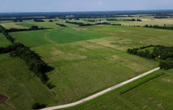 Cedar Lane, Reeds, MO 64859