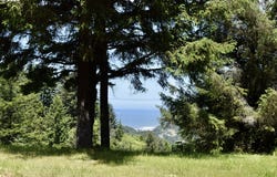 27961 THIMBLEBERRY Rd, GoldBeach, OR 97444