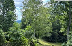 Bryan Davis Road, Creston, NC 28615