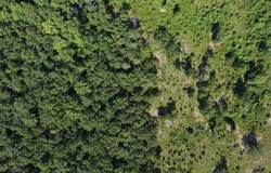 8450 Goose Pond Road, Lonsdale, AR 72087