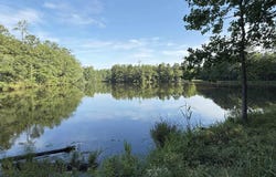 469 Brodie Road, Leesville, SC 29070