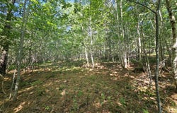 105-26 Back Eighty Road, Boothbay, ME 04537