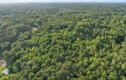 Spring St, Iuka, MS 38852