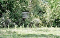 Hamp Lea, Magnolia, MS 39652