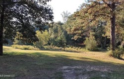 Birch Boulevard, Poplarville, MS 39470