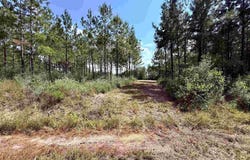 7282 Buffalo Ridge Rd, Pace, FL 32571