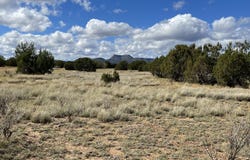Honey Bee Lane, Seligman, AZ 86337