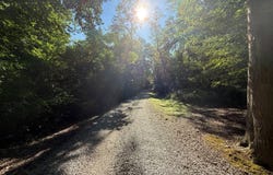 Ceylon Rd., Carmichaels, PA 15320